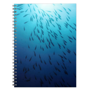 Caderno Espiral Banco de areia dos peixes