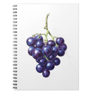 Caderno Espiral Bando de Uvas