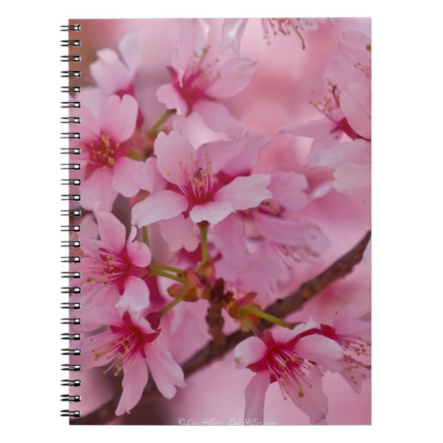 Caderno Espiral Banho de cereja rosa japonês (Frente)