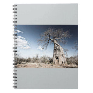 Caderno Espiral Baobab Tree no Parque Nacional de Mana Piscina, Zi