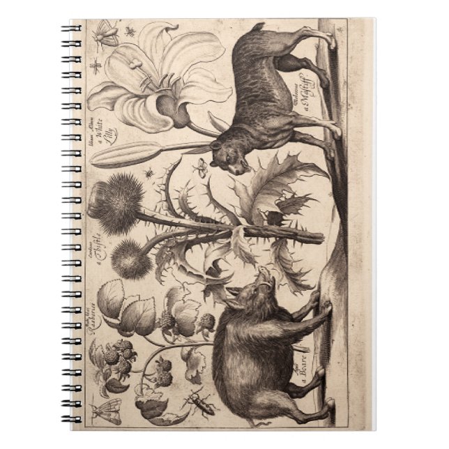 Caderno Espiral Barco e Mastiff (Frente)