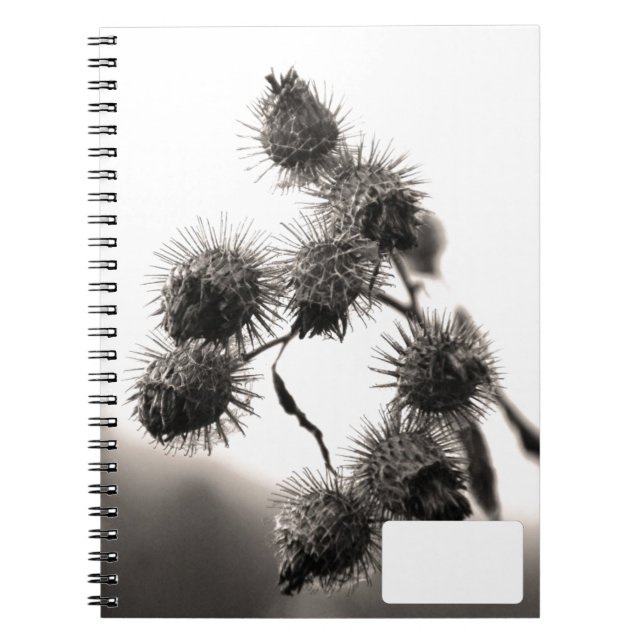Caderno Espiral Bardana seca (Frente)