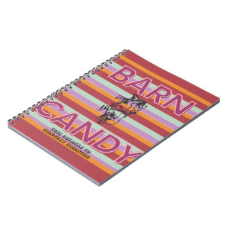 Caderno Espiral barn candy journal