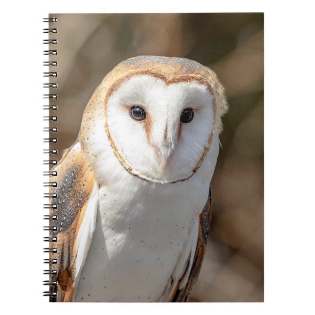 Caderno Espiral Barn Owl (Frente)
