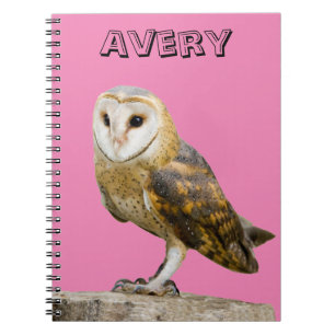 Caderno Espiral Barn Owl