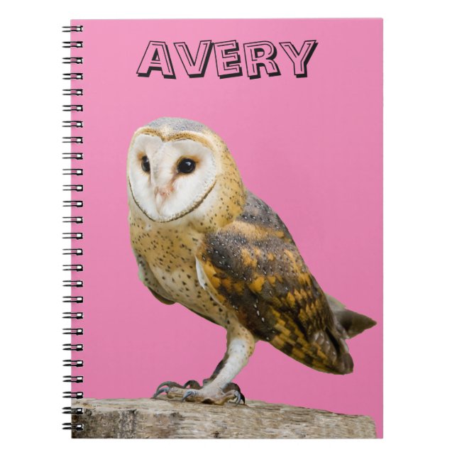 Caderno Espiral Barn Owl (Frente)