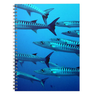Caderno Espiral barracuda mergulho mar profundo água oceano tropic