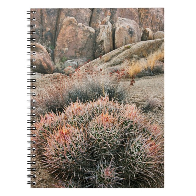 Caderno Espiral Barrel Cactus, Califórnia (Frente)