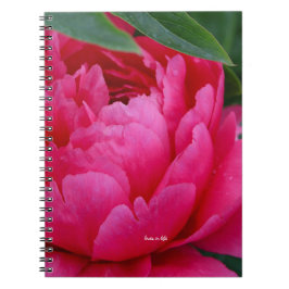 Caderno Espiral Bashful Pink Peony