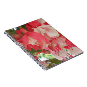 Caderno Espiral Bashkirtseff