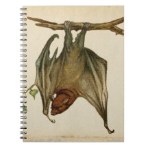Bat Color Illustration Notepad /