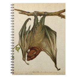 Caderno Espiral Bat Color Illustration Notepad /
