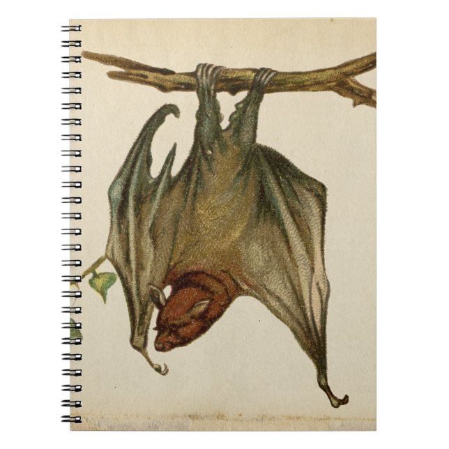 Caderno Espiral Bat Color Illustration Notepad / (Frente)
