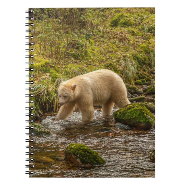 Caderno Espiral Bear Espírito Branco Caça peixes em Riordan Creek (Frente)