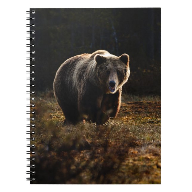 Caderno Espiral Bear Notebook (Frente)