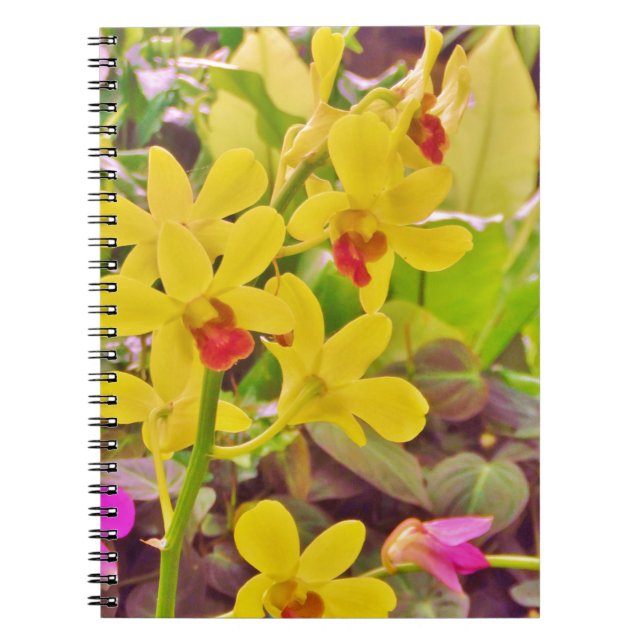 Caderno Espiral Beautiful Yellow autumn orchids (Frente)