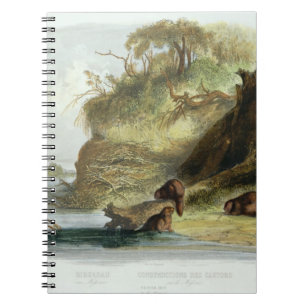 Caderno Espiral Beaver a cabana no Missouri, chapeie 17 do volume