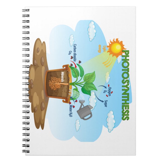 Caderno Espiral Bebê (Frente)