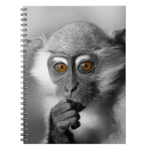 Caderno Espiral Bebê Mangabey Mackey