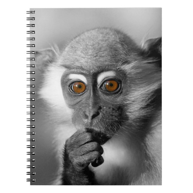Caderno Espiral Bebê Mangabey Mackey (Frente)