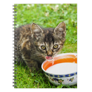 Caderno Espiral Bebendo de gatinho bonito de uma tigela