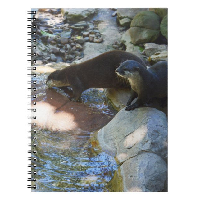 Caderno Espiral Bebendo de portas, notebook (Frente)