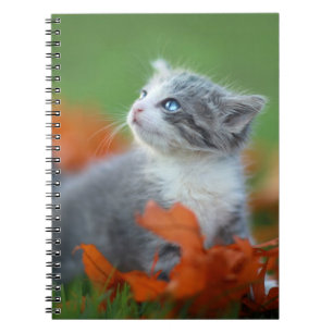 Caderno Espiral Bebês bonitos brincando ao ar livre na grama