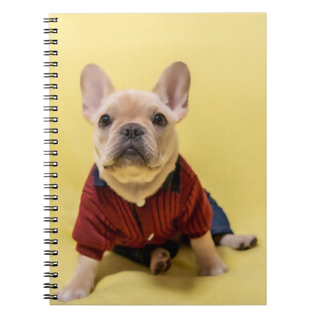 Caderno Espiral Bebês Mais Pobres | Buldogue francês vestido (Frente)