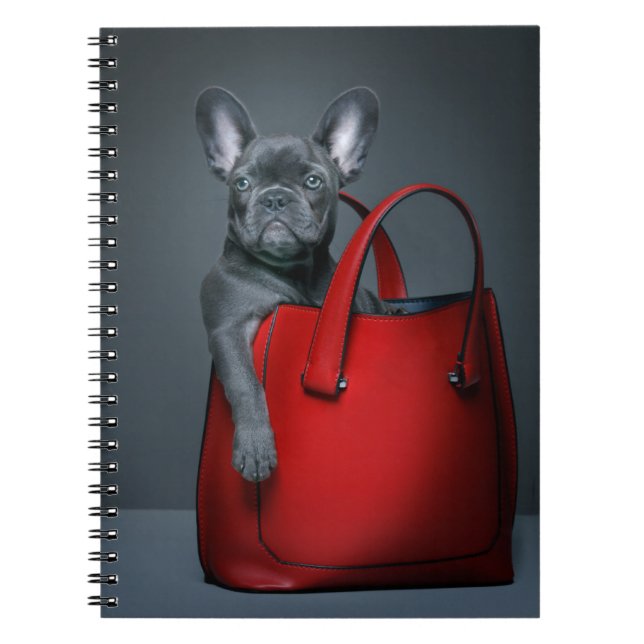Caderno Espiral Bebês Mais Pobres | Bulldog Francês no Handbag (Frente)