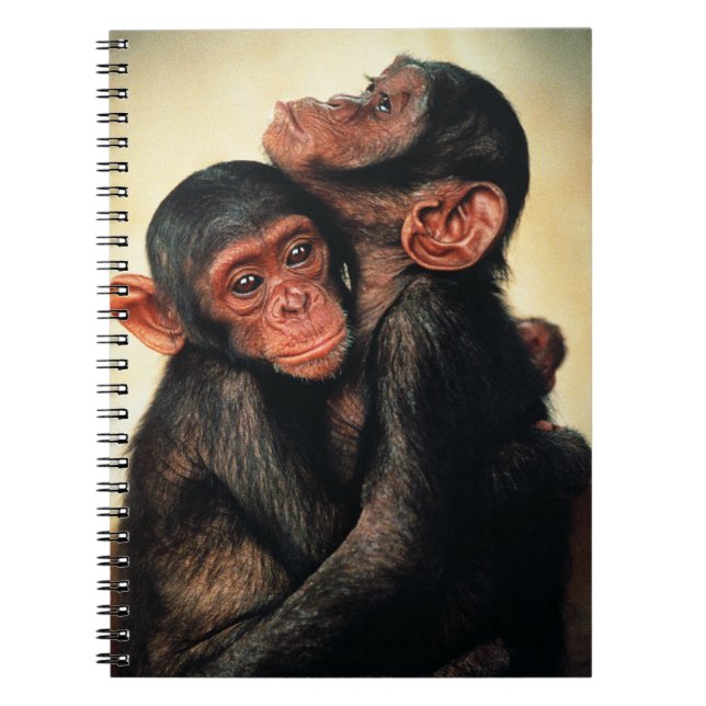 Caderno Espiral Bebês Mais Pobres | Chimpanzé Hug (Frente)