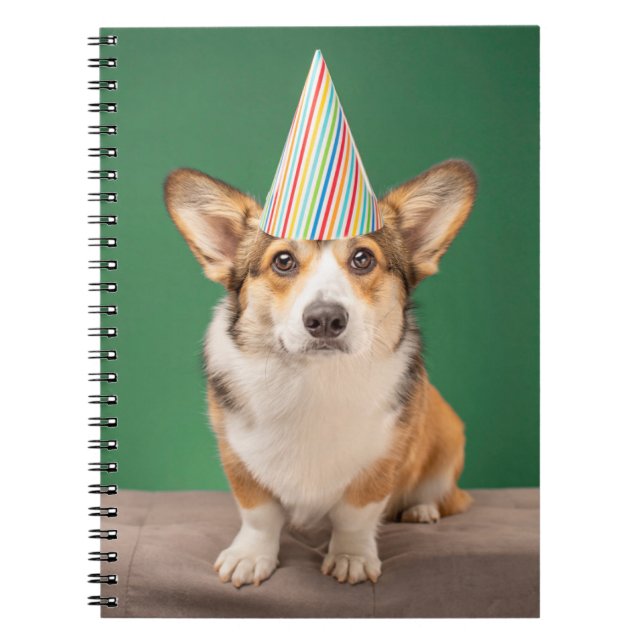 Caderno Espiral Bebês Mais Pobres | Corgi Birthday Puppy (Frente)