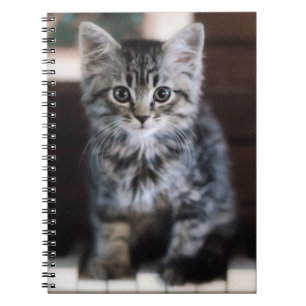 Caderno Espiral Bebês Mais Pobres Cristóvão em Chaves Piano