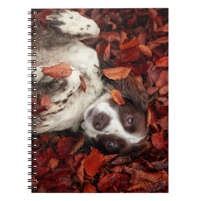 Caderno Espiral Bebês Mais Pobres | Espanhol nas Folhas de outono (Frente)