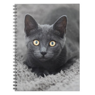 Caderno Espiral Bebês Mais Pobres Gato Cinza