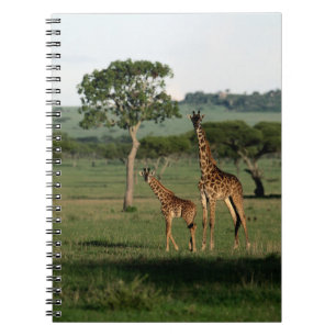 Caderno Espiral Bebês Mais Pobres Giraffe Calf & Mama