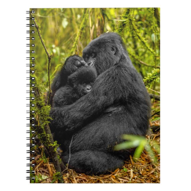 Caderno Espiral Bebês Mais Pobres | Gorilla & Baby (Frente)