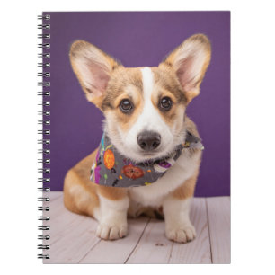 Caderno Espiral Bebês Mais Pobres Halloween Corgi