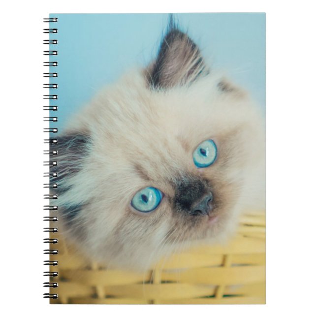 Caderno Espiral Bebês Mais Pobres | Himalaias — Ponto de foca (Frente)