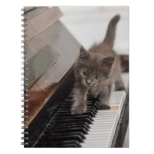 Caderno Espiral Bebês Mais Pobres Kitten on Piano