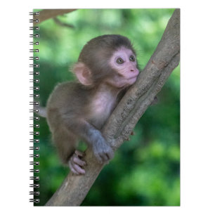 Caderno Espiral Bebês Mais Pobres   Macaco Bebê
