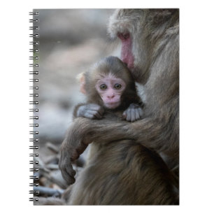 Caderno Espiral Bebês Mais Pobres Macaco japonês e bebê