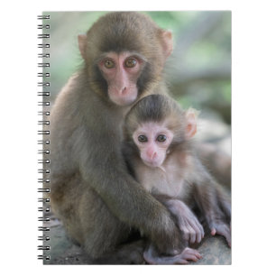 Caderno Espiral Bebês Mais Pobres Macacos Japoneses