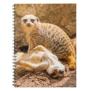 Caderno Espiral Bebês Mais Pobres Meerkats para Jovens