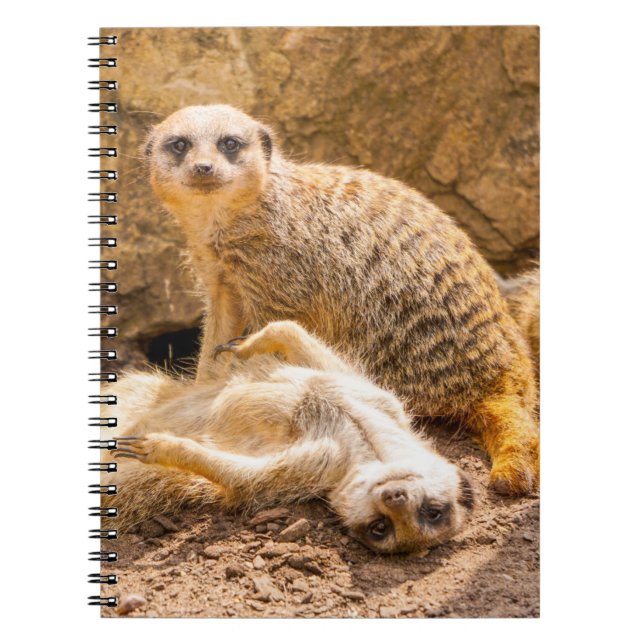 Caderno Espiral Bebês Mais Pobres | Meerkats para Jovens (Frente)