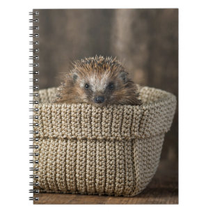 Caderno Espiral Bebês Mais Pobres Porco numa cesta