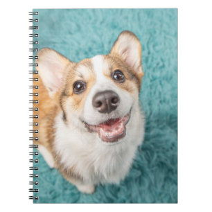 Caderno Espiral Bebês Mais Pobres Sorriso De Puppy Corgi
