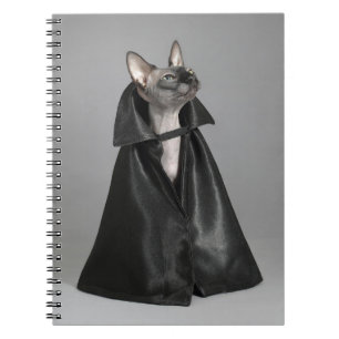 Caderno Espiral Bebês Mais Pobres   Sphynx Hairless Cat