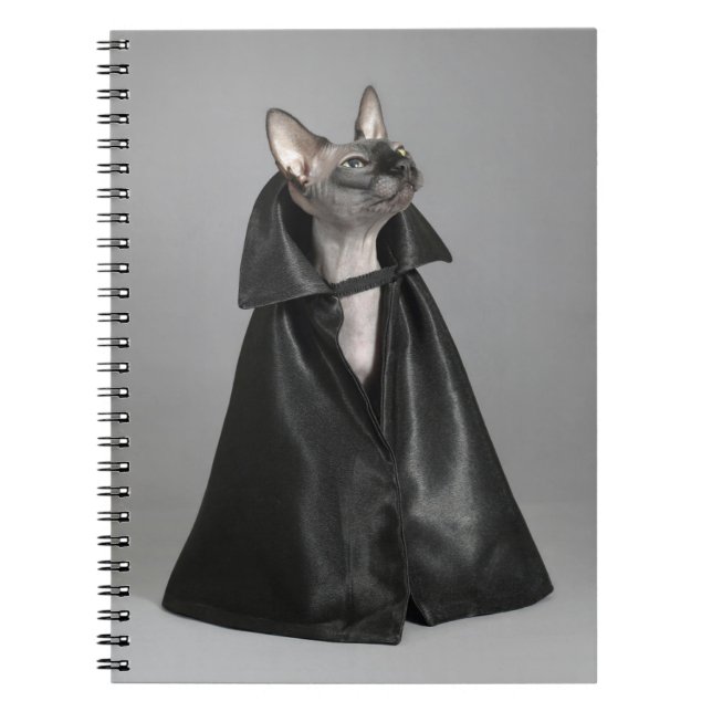 Caderno Espiral Bebês Mais Pobres | Sphynx Hairless Cat (Frente)