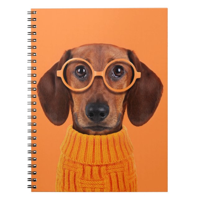 Caderno Espiral Bebês Mais Pobres | Suéter de laranja Dachshund (Frente)