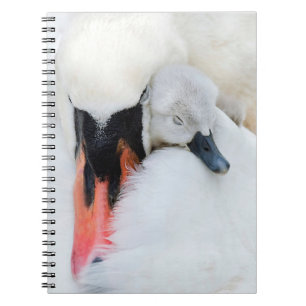 Caderno Espiral Bebês Mais Pobres Swan De Mãe E Bebê